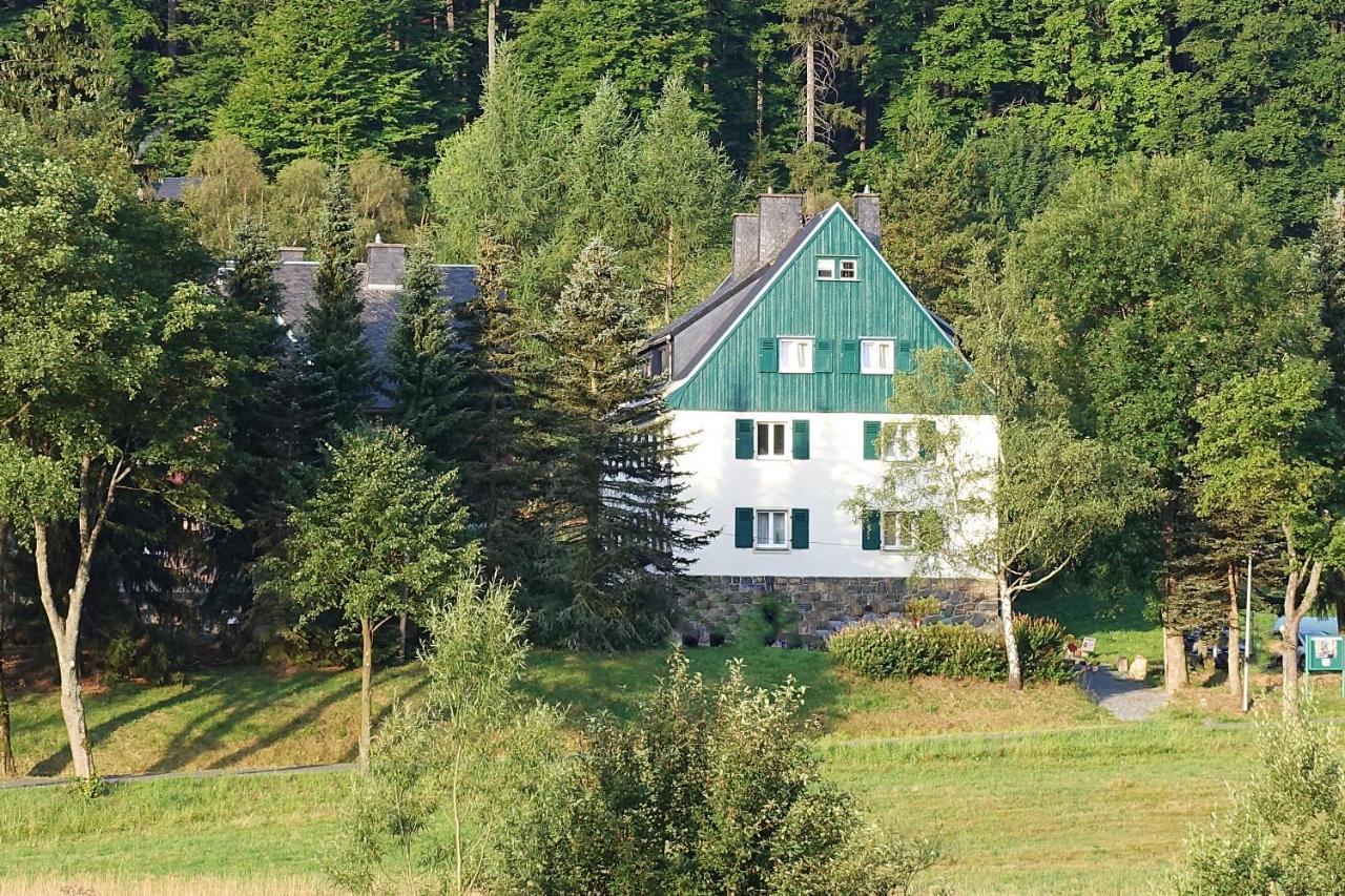 Apartamento Haus Donnerberg Rehefeld Altenberg  Exterior foto